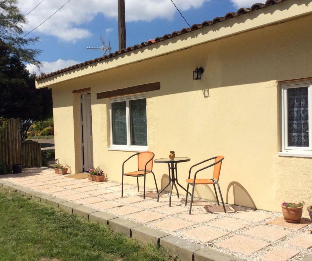 Gite De Cerisier Saint-Nicolas-de-la-Grave ภายนอก รูปภาพ